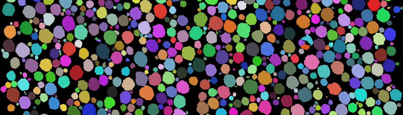 Colourful spots on a black background